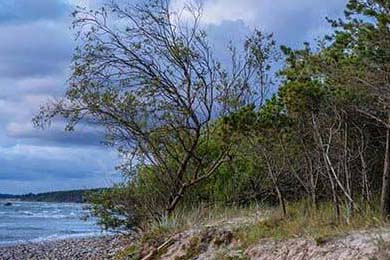 中国男子篮球联赛赛场上演惊天逆转，中国男子篮球比赛