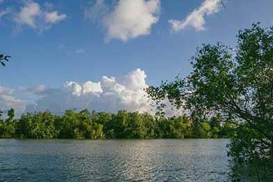 弗利特伍德镇高位压迫见效，渔港军团志在保级，弗里特伍德