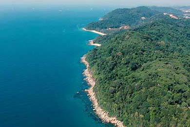 勒沃库森球队客场逆袭，大胜强敌领跑积分榜，勒沃库森足球俱乐部